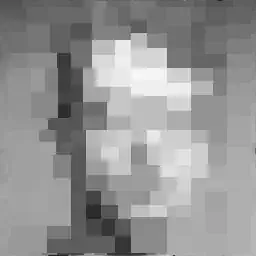 Image of Timo Müller